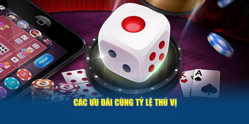 cac-uu-dai-cung-ty-le-thu-vi