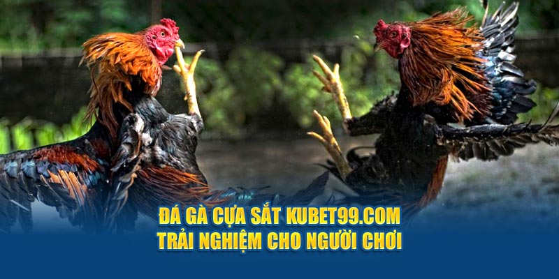 da-ga-cua-sat-hubet-com-trai-nghiem-cho-nguoi-choi