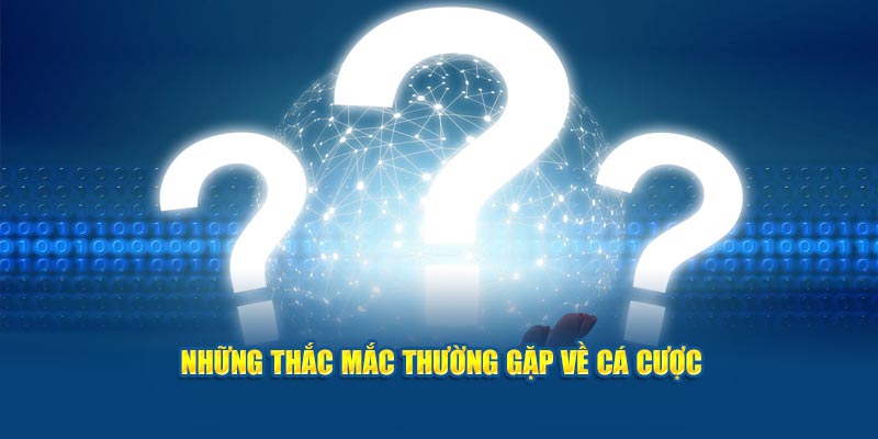 nhung-thac-mac-thuong-gap-ve-ca-cuoc