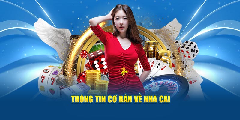 thong-tin-co-ban-ve-nha-cai