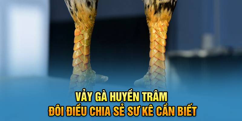 vay-ga-huyen-tram-doi-dieu-chia-se-su-ke-can-biet